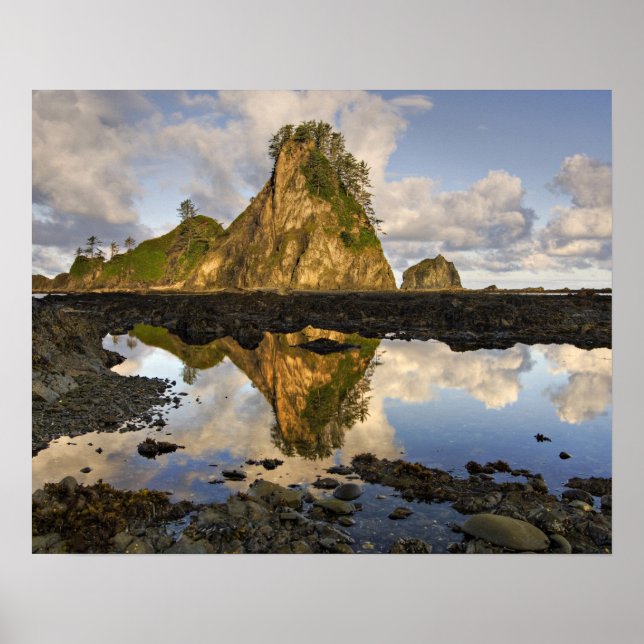 Poster EUA, Washington, Parque Nacional Olimpiadas. A (Frente)