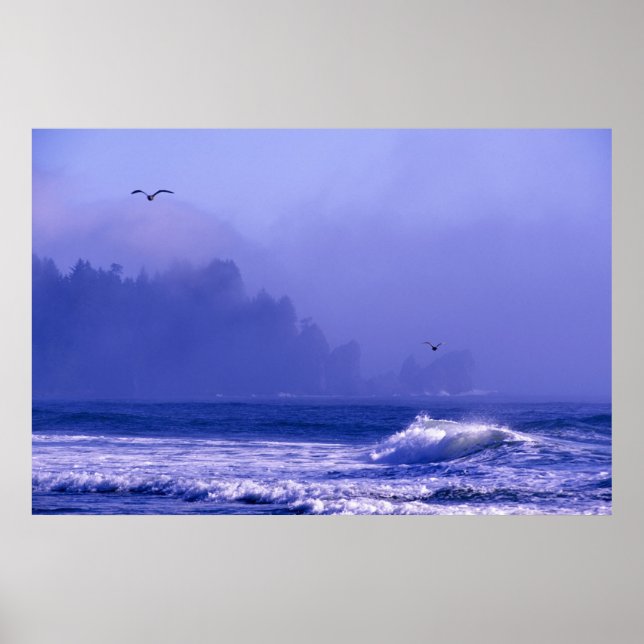 Poster EUA, Washington, Parque Nacional Olimpiadas. Névoa (Frente)