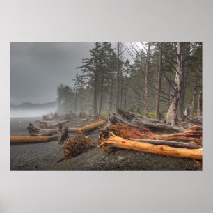 Pôster EUA, Washington, Parque Nacional Olimpiadas, Rialt