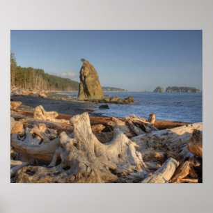 Pôster EUA, Washington, Parque Nacional Olímpico, Rialto