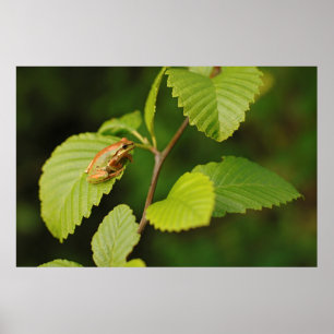 Pôster EUA, Washington, Seattle, Discovery Park