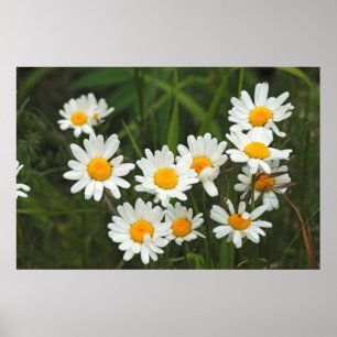 Pôster EUA, Washington, Seattle, Puget Sound 3