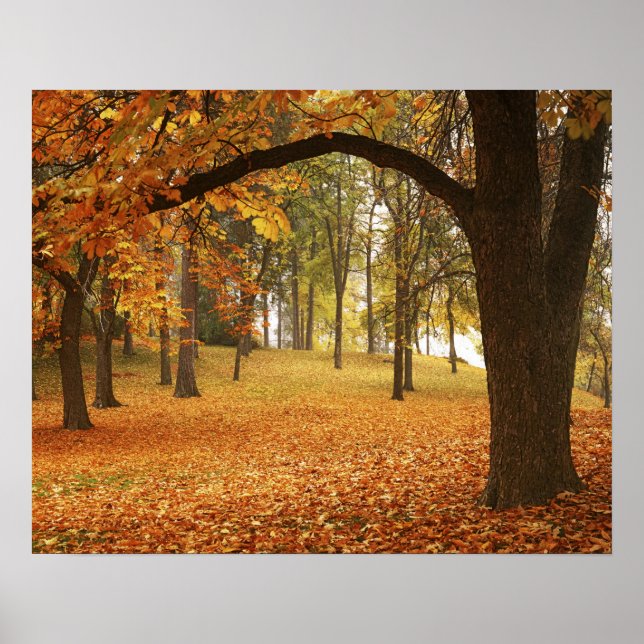 Poster EUA, Washington, Spokane, Manito Park, outono 2 (Frente)
