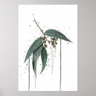 Poster Eucalipto (australiano)