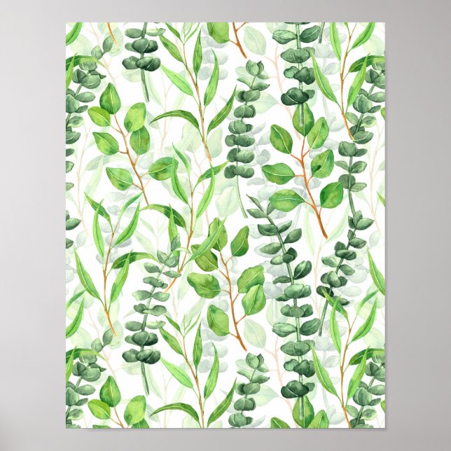 Poster Eucalyptus (Frente)