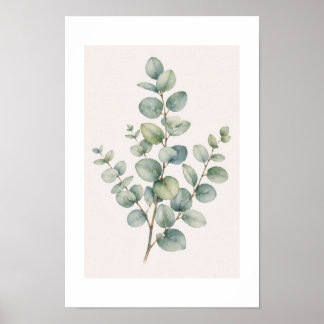 Poster Eucalyptus