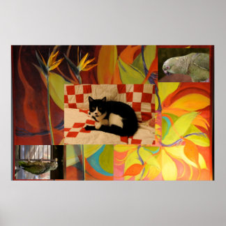 Pôster Euclid's Dream