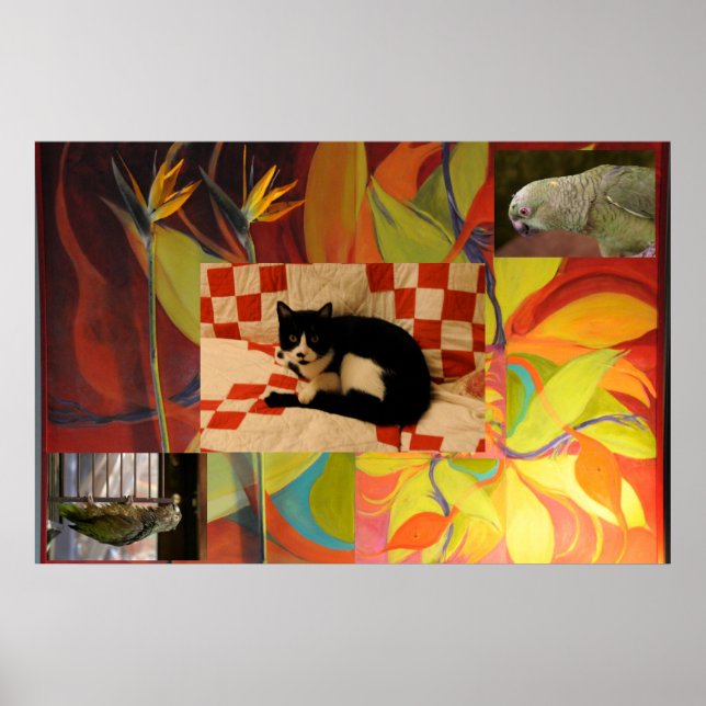 Pôster Euclid's Dream (Frente)