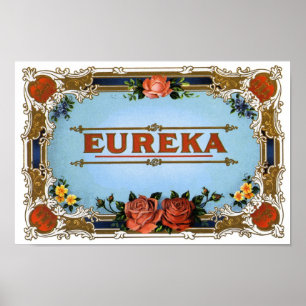 Pôster Eureka