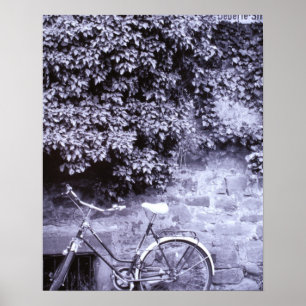 Poster Europa, Alemanha, Baden, Wurttemberg, Heidelberg.