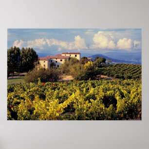 Pôster Europa, França, Bonnieux. Vinhas cobrem o