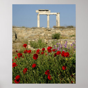 Pôster Europa, Grécia, Cíclades, Delos. Ruínas de colu
