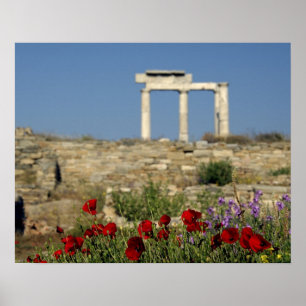 Pôster Europa, Grécia, Cíclades, Delos. Ruínas de coluna.