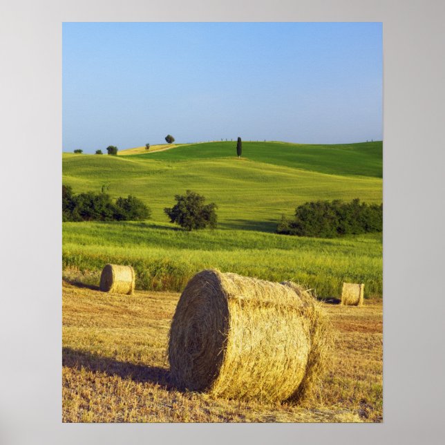 Poster Europa, Itália, Toscana, Val d'Orcia, Pienza - (Frente)