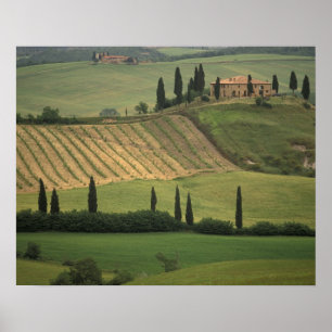 Pôster Europa, Itália, Toscana, Val d'Orcia, Toscano