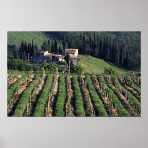 Pôster Europa, Itália, Toscana. Vila cênica cyprus.