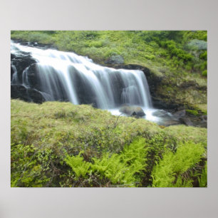 Poster Europa, Noruega. Cachoeira.