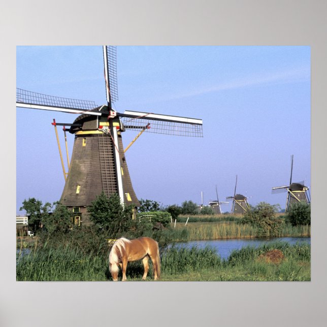 Pôster Europa, Países Baixos, Holanda do Sul, Kinderdijk. (Frente)