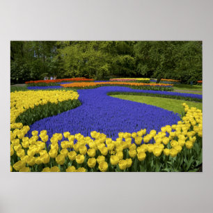 Poster Europa, Países Baixos, Holanda, Lisse, Keukenhof