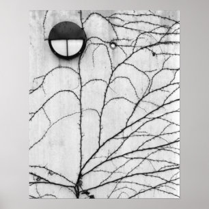 Poster Europa, Suiça, Lucerna. Padrão de Ivy ativado