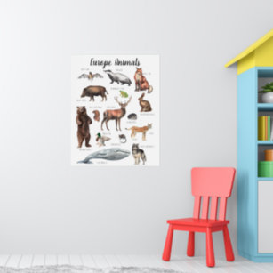 Poster Europe Animals   Education Learning Classroom