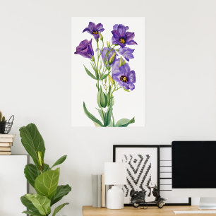Poster Eustoma Russelianum, Flores Roxos,