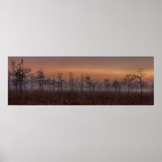 Poster Everglades Calm