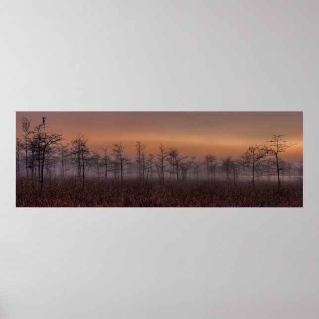 Poster Everglades Calm (Frente)