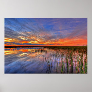 Poster Everglades Coloridos, Flórida,