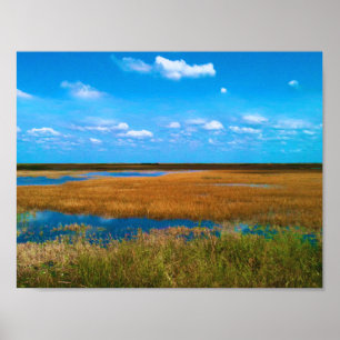 Poster Everglades da Flórida Sawgrass, Céu e Reflexos