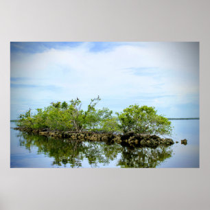 Poster Everglades Mangroves