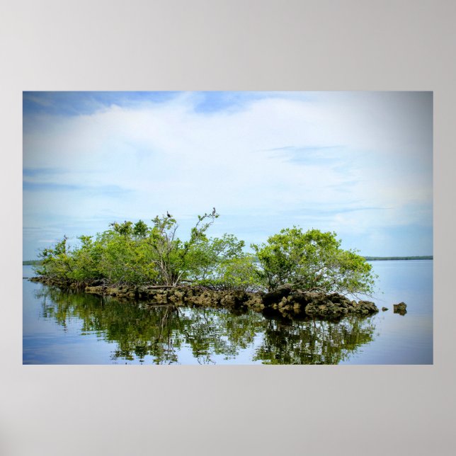 Poster Everglades Mangroves (Frente)