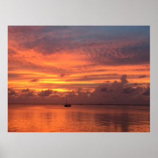 Poster Everglades Sunset