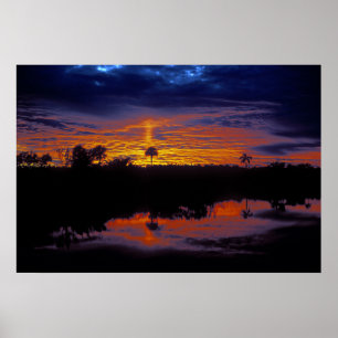 Poster Everglades Sunset