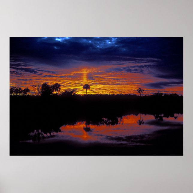 Poster Everglades Sunset (Frente)