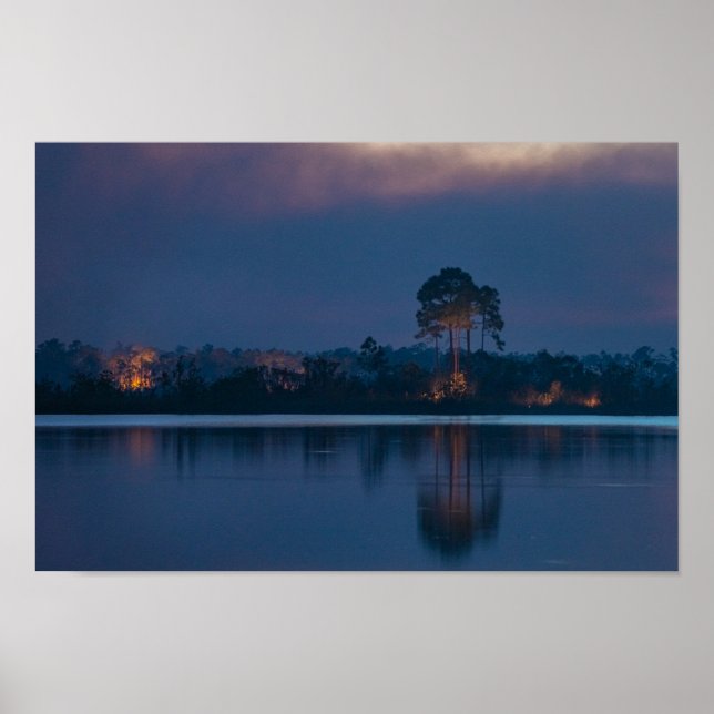 Poster Everglades Wildfire (Frente)