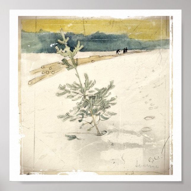 Poster Evergreen (Frente)