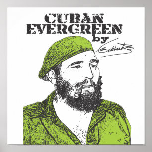 Pôster Evergreen cubano