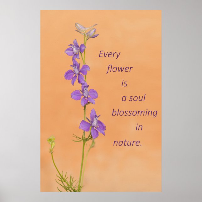 Poster Every Flower (Frente)