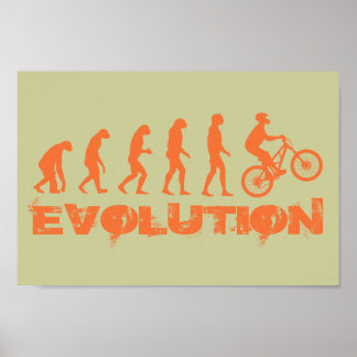 Poster Evolução