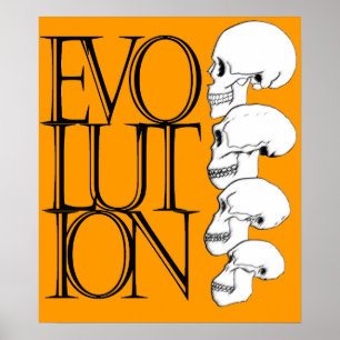 Poster Evolução