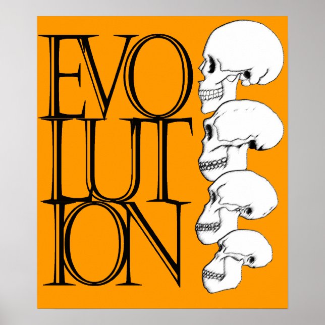 Poster Evolução (Frente)