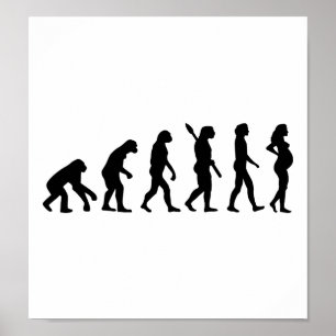 Poster Evolução da mulher gravida