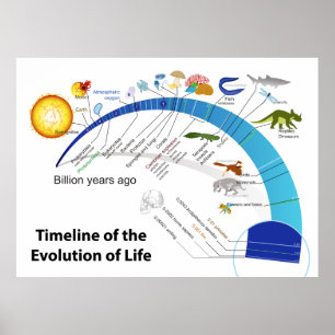 Poster Evolução da vida no diagrama do espaço temporal