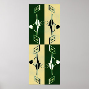 Pôster Evolução de Yin e de Yang