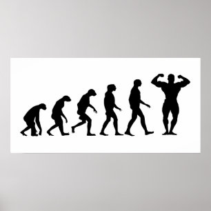 Poster Evolução do Bodybuilding