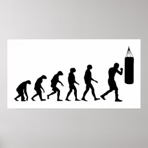 Pôster Evolução do Boxing