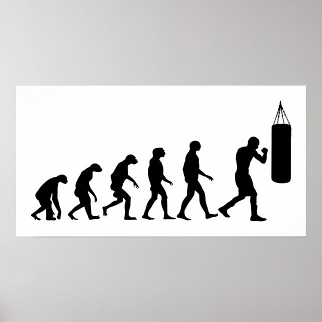 Pôster Evolução do Boxing (Frente)