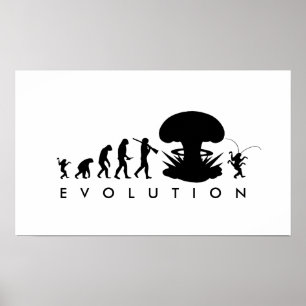 Pôster Evolução do Homem & Barata Gráfico Divertido de Ev