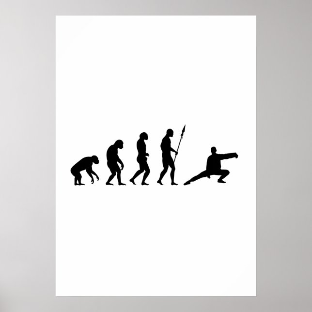 Pôster evolução do tai chi (Frente)